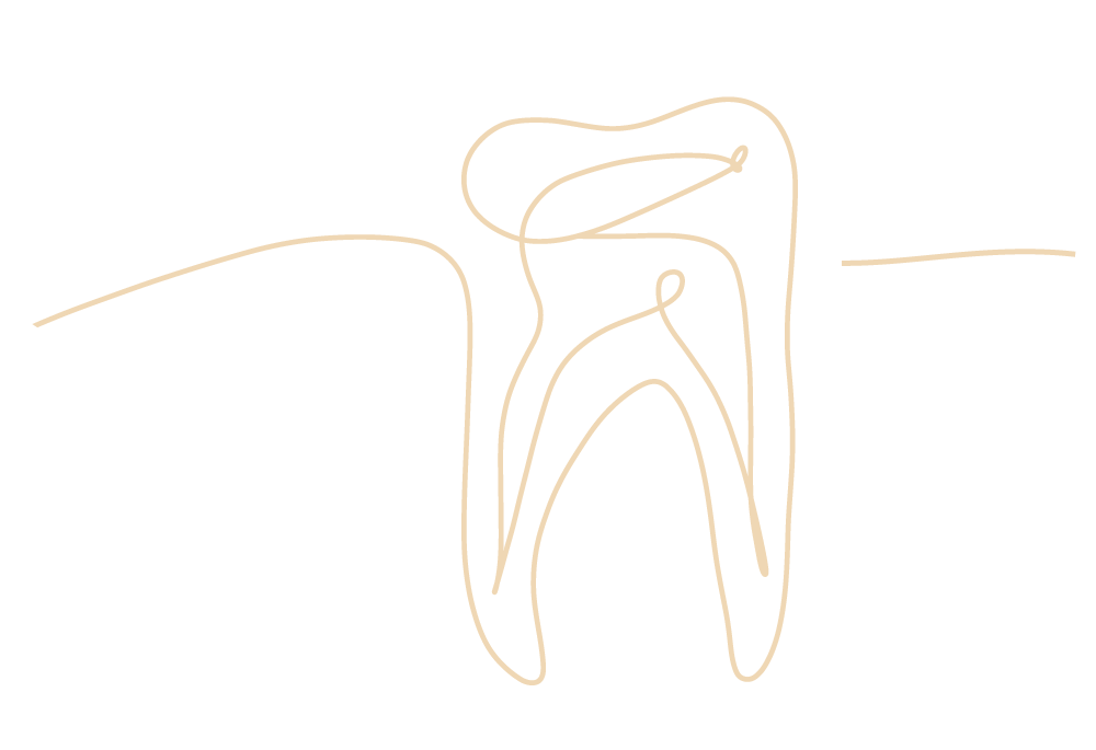 Eine feine, reduzierte Zeichnung eines Zahns als Metapher für den Schwerpunkt Allgemeine Zahnmedizin in der Praxis am Mexikoplatz in Berlin