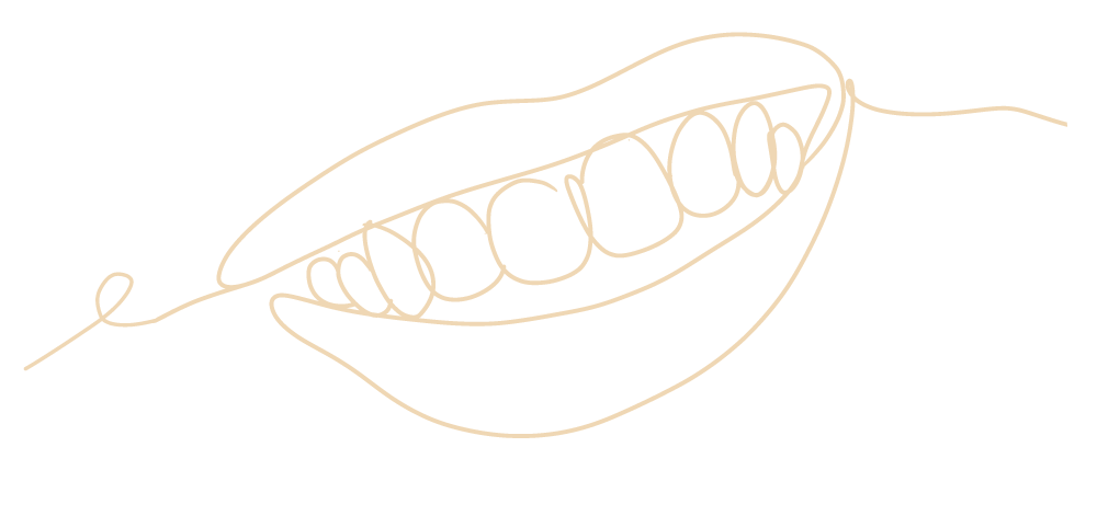 Eine feine, reduzierte Zeichnung eines lachenden Mund als Metapher für den Schwerpunkt Zahnersatz in der Praxis am Mexikoplatz in Berlin